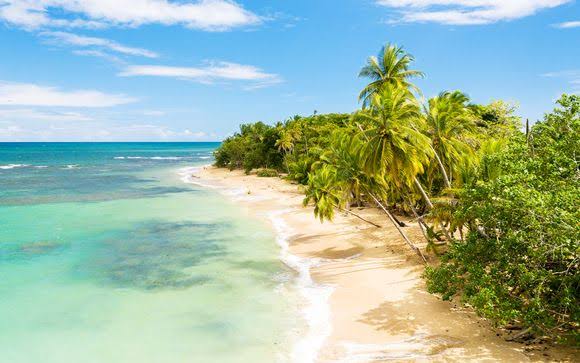 COSTA RICA – JUNGLA & PLAYA