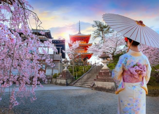 JAPON EN TENIS