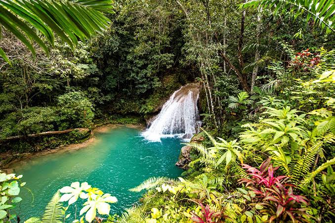 JAMAICA
